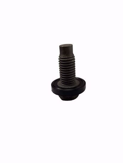 Picture of Sump Plug