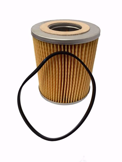 Picture of Fuel Filter