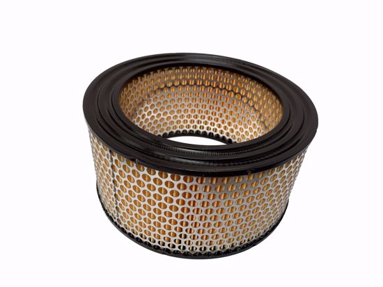 Picture of Air Filter