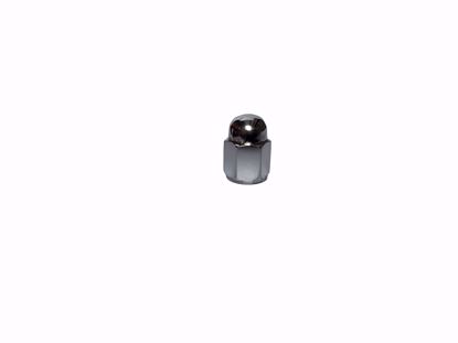 Picture of Cam Cover Nut Chrome