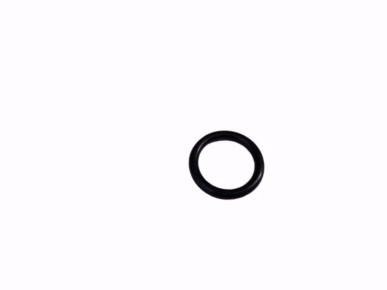 Picture of O Ring