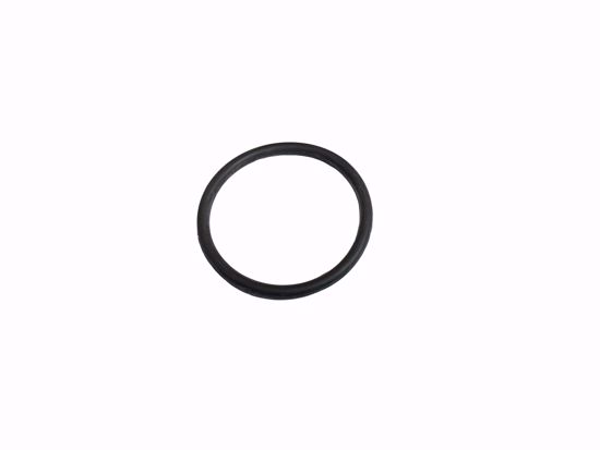 Picture of O Ring