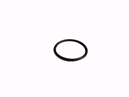 Picture of O Ring