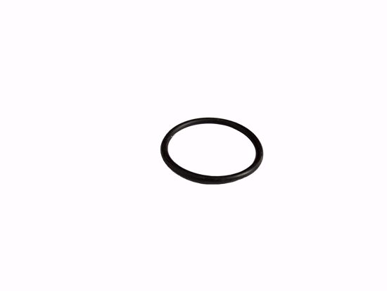 Picture of O Ring