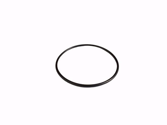 Picture of O Ring