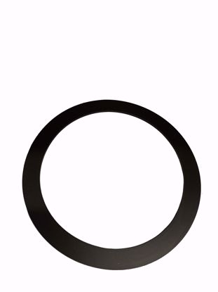 Picture of Sealing Ring